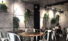 Non Branded Cafe - фото (5336-45747)