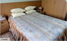 Оленка - фото (6166-44270)