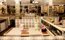 Какао Блюз - фото (4839-46614)