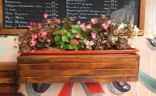 Espresso Window - фото (3965-48131)