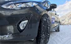 Аскания-шина - фото (2902-40725)