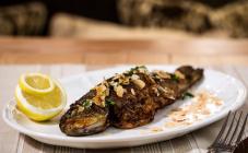 Купол - фото (5188-47240)