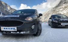 Аскания-шина - фото (2902-40726)