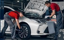 Арт Сити - фото (8807-52862)