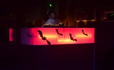 Duty Free - фото (6381-42259)