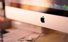 СЦ ЦЕХ - фото (5463-27705)