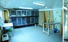 Ветпланета - фото (703-2848)