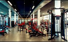 Viper Gym - фото (1117-6029)