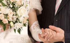 SW Studio  - фото (8761-52793)