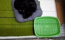 Гранд - фото (643-2435)