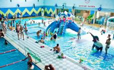 ЛІМПОПО - фото (555-1891)