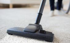 Енот  - фото (8100-51181)