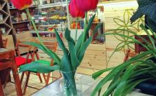 Anahata Fine Food - фото (3970-45579)