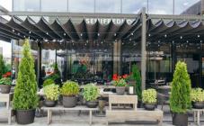 Semifreddo - фото (3804-45208)