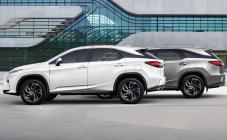 ВиДи Элит - фото (2877-40093)