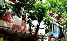 Карусель - фото (6304-41758)