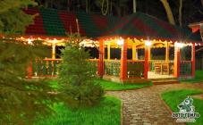 Авто-гриль Мисливець - фото (6342-41483)