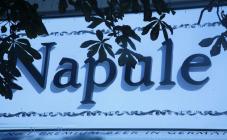 Пиццерия Напуле - фото (789-3377)