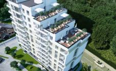 Правильный выбор - фото (7822-50258)