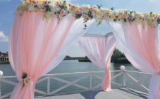 Дача - фото (6389-41559)