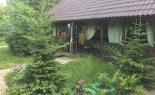 Кусай - фото (6274-42521)