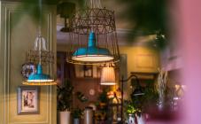 Файна Фамилия - фото (4822-46891)