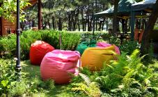 Карусель - фото (6304-41763)