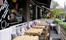 Поляна - фото (4572-27720)