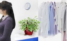 Золушка Химчистка-Прачечная - фото (5456-27620)