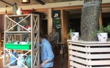 Rocka Rabbit - фото (5000-47483)