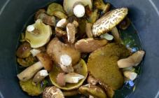 База отдыха Меридиан - фото (9756-54375)