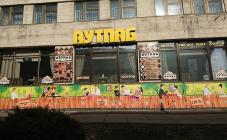 Аутпаб - фото (5005-48070)