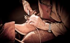 Modus Vivendi - фото (709-2900)