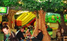 Тропикал парк - фото (7226-43446)