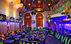 Павлин - фото (6327-42536)