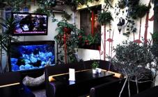 Амадин - фото (4713-48086)