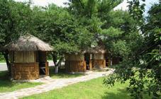 Вітряк - фото (6313-42439)