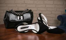 Modus Vivendi - фото (709-2902)