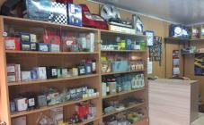 Компания Реношка - фото (2844-40490)