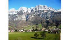 Туристическое агентство "Эстет-тур" - фото (1460-7956)