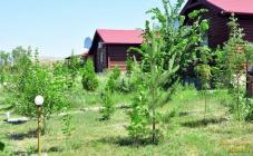 База отдыха "Цвет" - фото (9754-54368)