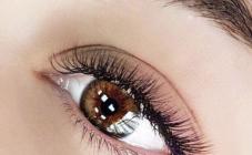 Lash Brow - фото (8028-50970)