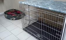 Белый Клык - фото (641-2429)