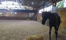 Конный лучный тир Мустанг "Днепр" - фото (9241-53582)