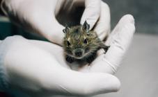 Гранд - фото (643-2436)