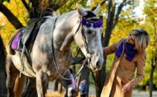 Horseback Riding Club Ivanhoe - фото (9154-53428)