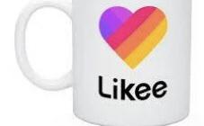 Royal Photo - фото (8000-50872)