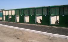 ЦЕНТР ПОВОДЖЕННЯ З ТВАРИНАМИ - фото (808-3466)