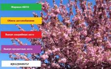 Маршал авто Юго-Запад - фото (619-2292)