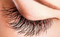 Solo - фото (8022-50944)